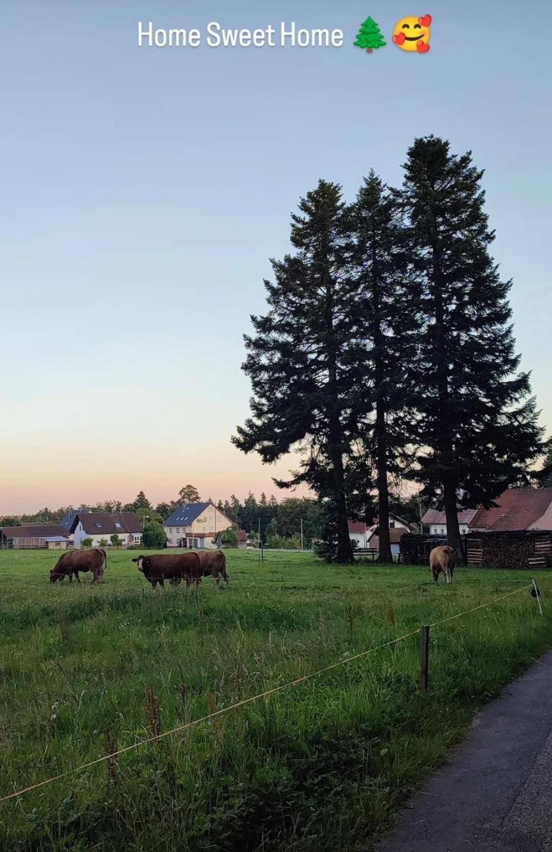 Chickenhill Blackforest, Ferienwohnung Grosshans Bad Wildbad Esterno foto